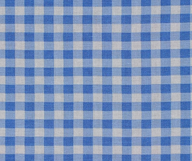 Blue Checkered Cotton Fabric
